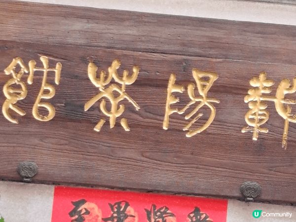 荔枝樹吊住蝦丸，有如置身仙境一樣