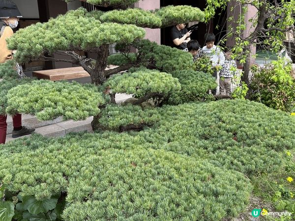 日本福岡縣東長寺是著名的景點之一，而且歷史悠久，深得旅客的喜...