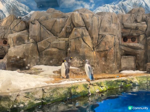 香港海洋公園Ocean Park  (黃竹坑)