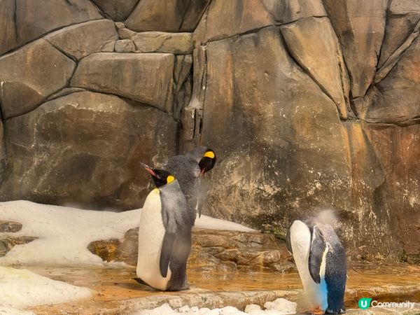 香港海洋公園Ocean Park  (黃竹坑)