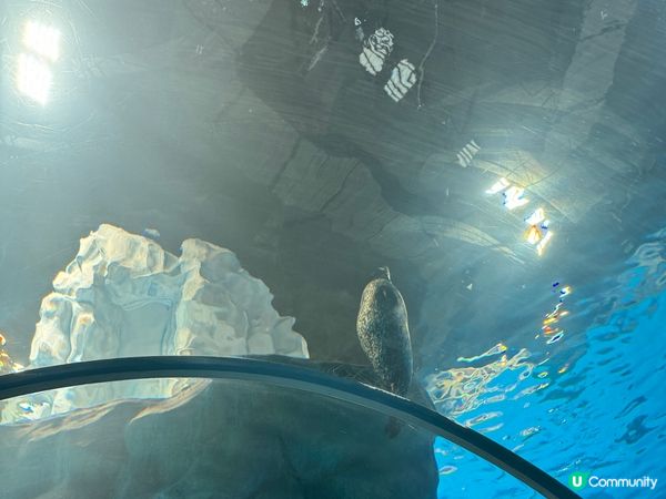 香港海洋公園Ocean Park  (黃竹坑)