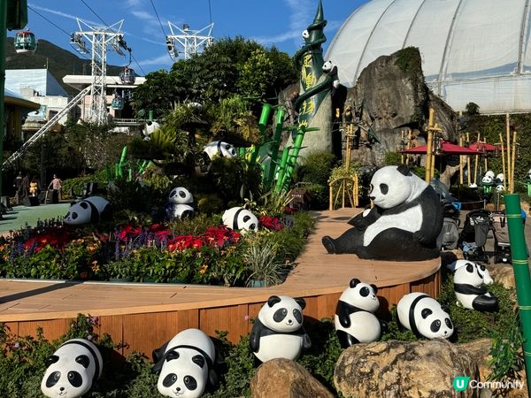 香港海洋公園Ocean Park  (黃竹坑)