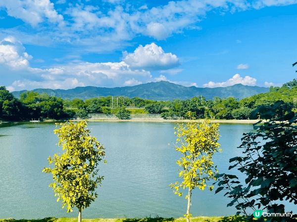 位於郊區嘅大埔嘅bilow餐廳，邊chill住食野，chil...