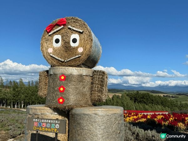 北海道登別地獄谷，富良野七彩花田是必定去的打卡熱點。