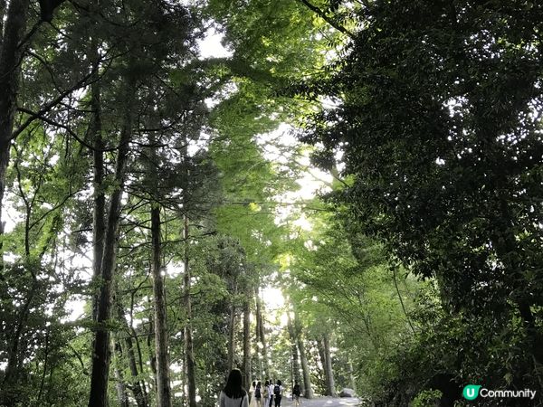 霧島神宮都係鹿兒島其中一個必去景點