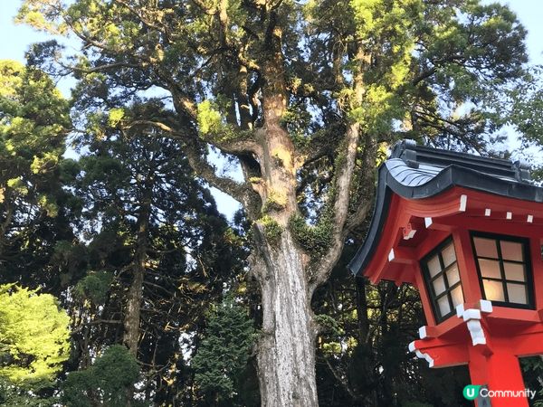 霧島神宮都係鹿兒島其中一個必去景點