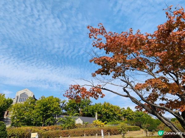 秋天的梨花女子大學，雖然未見紅葉處處，但是景色宜人，天氣十分...