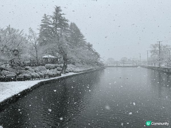 日本東北~白雪皚皚有如仙境，銀白色的美景就如一幅畫夢幻，