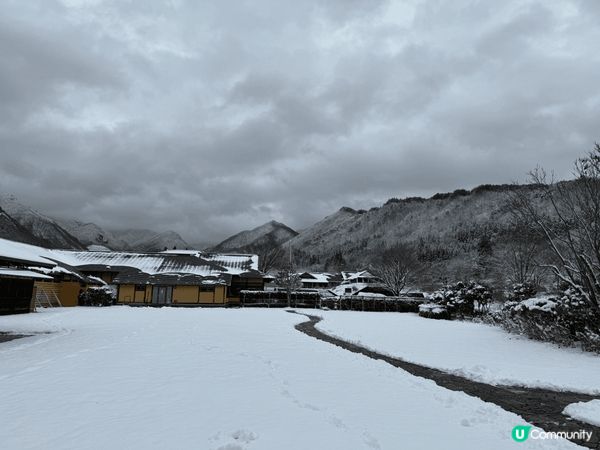 日本東北~白雪皚皚有如仙境，銀白色的美景就如一幅畫夢幻，