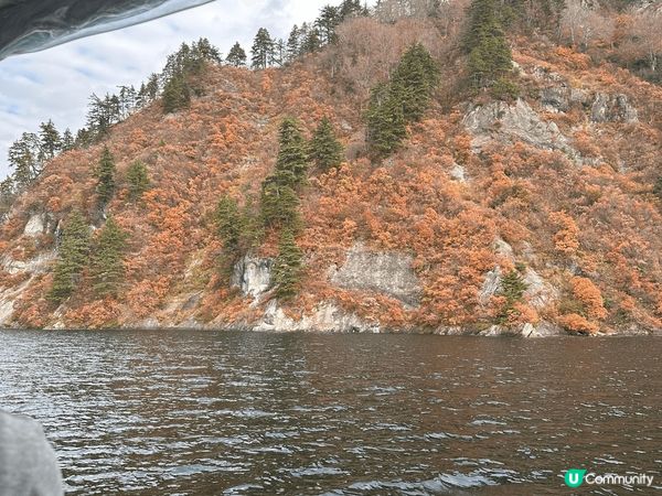 講到最佳賞楓熱點一定要數日本！平時大家去慣東京大阪，又有無去...