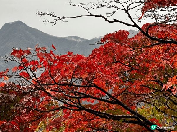 韓國秋季，恩平韓屋村，天空公園，內藏山