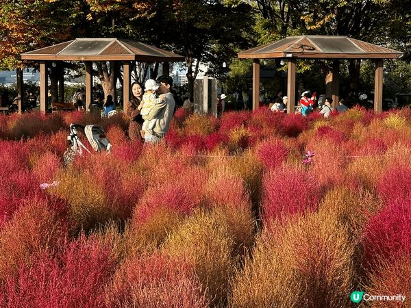 韓國秋季，恩平韓屋村，天空公園，內藏山