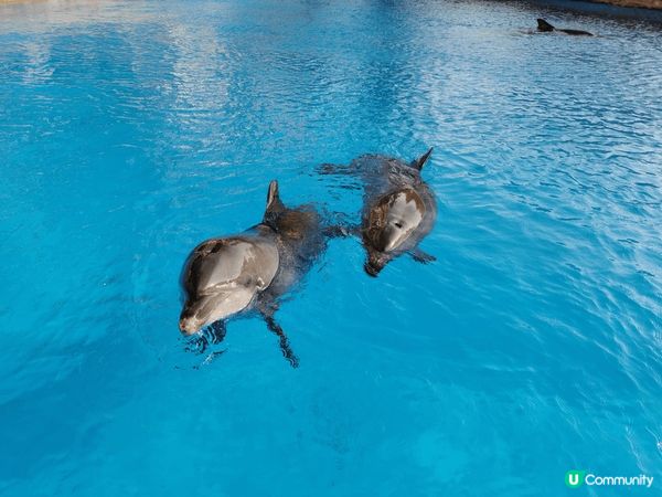 珠海橫琴有齊消閒，遊樂園和觀光元素，樂而忘返。在橫琴灣酒店可...