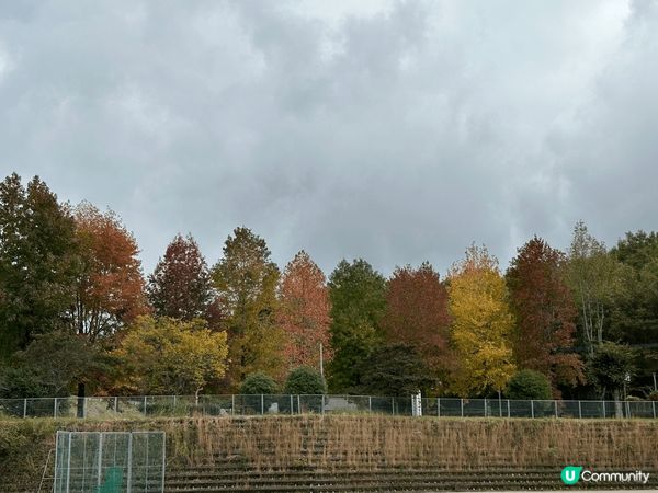 自駕遊九州途經30號公路🛣️