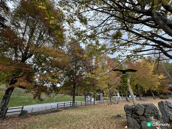 自駕遊九州途經30號公路🛣️