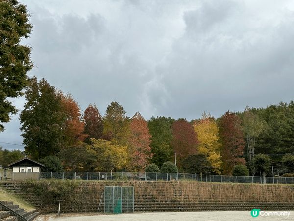 自駕遊九州途經30號公路🛣️