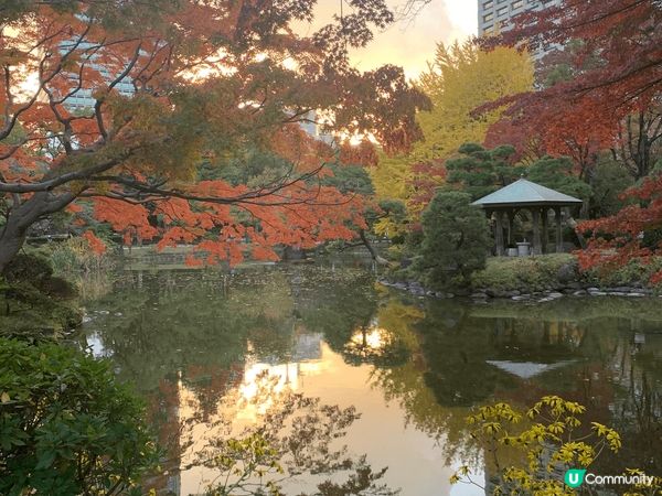 日本賞楓，市區可以去惠比壽、日比谷。遠少少可以在新宿小田急買...