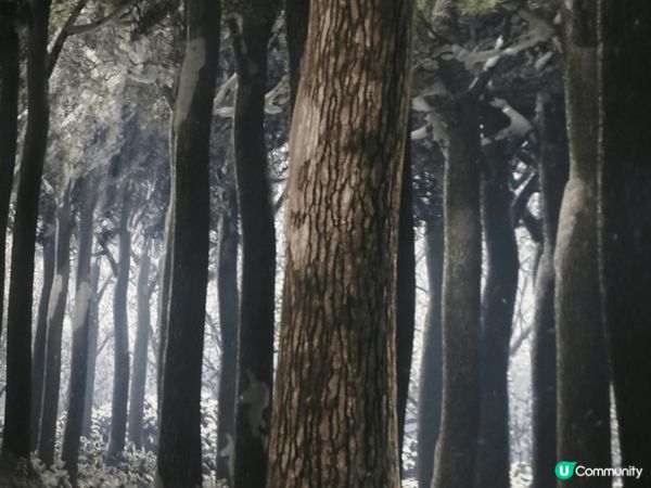 ARTE M 神秘的角落 內心的起伏