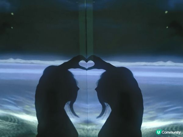 ARTE M 神秘的角落 內心的起伏