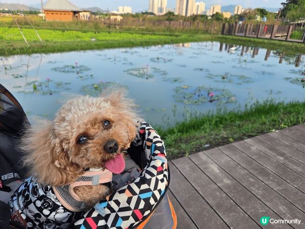 秋意正濃，最啱就係出外走走。想遠離煩囂唔使搭飛機嘅，可以行下...