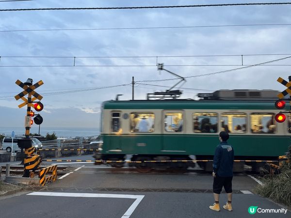 櫻花季遊九州湯布院，盛放的櫻花外還有夾道的油菜花。