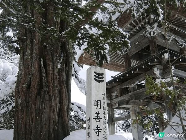 年頭1月去白川鄉，見到美麗雪景