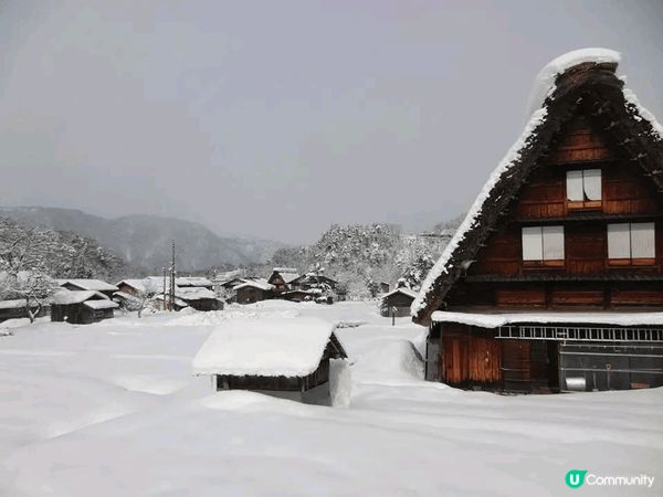 年頭1月去白川鄉，見到美麗雪景