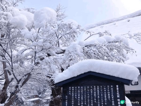 年頭1月去白川鄉，見到美麗雪景