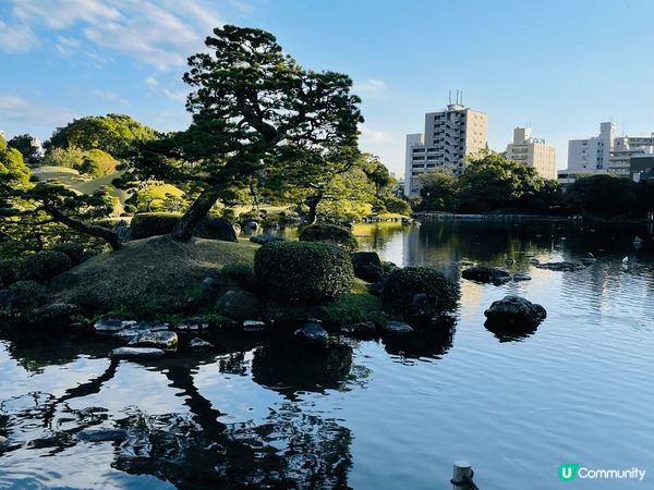 去到熊本，建議大家去一去成趣園呢個景點！❤️