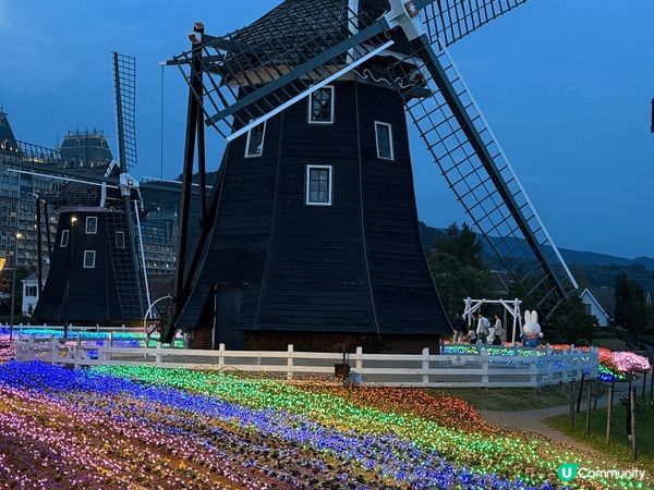 1.日本世界最大13,000,000光之王國獲全國第一名燈飾...