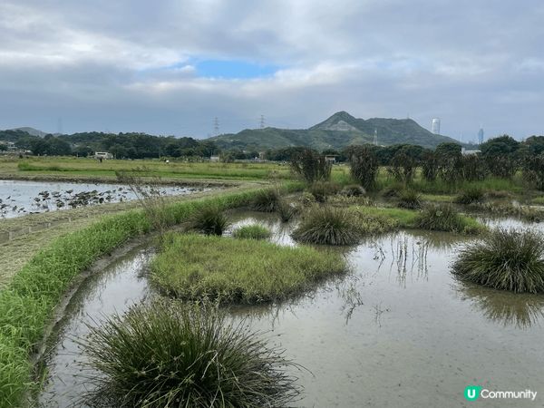 位於燕崗村旁之塱源濕地公園，於11月1闈正式開幕
