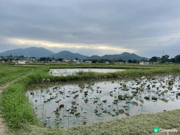 位於燕崗村旁之塱源濕地公園，於11月1闈正式開幕
