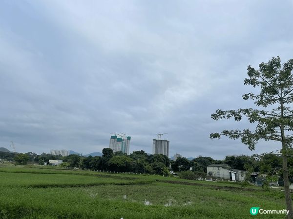 位於燕崗村旁之塱源濕地公園，於11月1闈正式開幕

