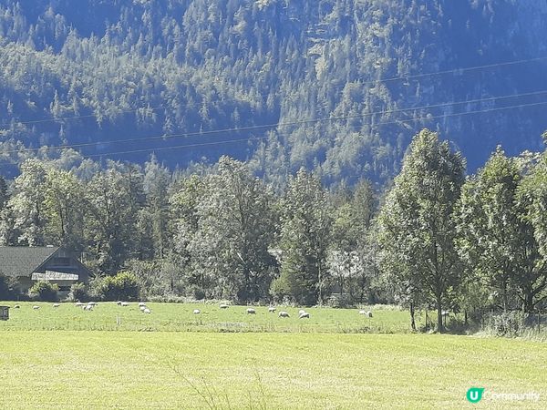 沒想到靜謐的奧地利Obertraun 小鎮，為我今次歐遊帶來...