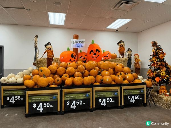 美國walmart 一天遊