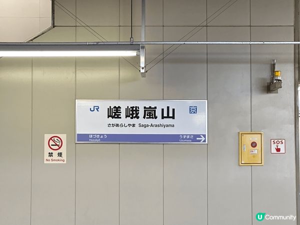 大阪嵐山竹林小徑，旅客必到打卡景點，11月尾，楓葉剛開始紅，...