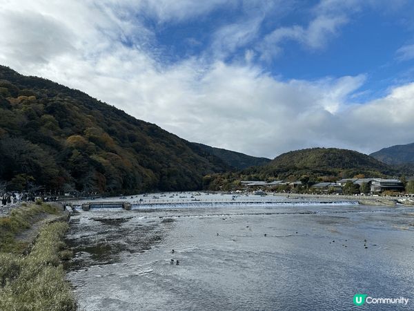 大阪嵐山竹林小徑，旅客必到打卡景點，11月尾，楓葉剛開始紅，...