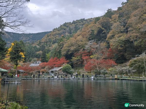 日本旅行在秋季看紅葉，真的十分漂亮和享受當地美食。