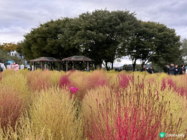 韓國首爾天空公園 在繁忙的鬧市中 －個交通方便又舒适的拍照好...