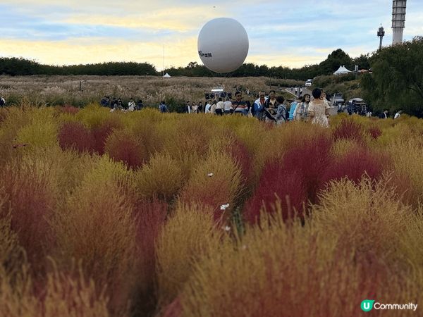 韓國首爾天空公園 在繁忙的鬧市中 －個交通方便又舒适的拍照好...