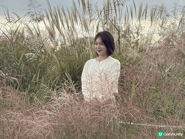 韓國首爾天空公園 在繁忙的鬧市中 －個交通方便又舒适的拍照好...