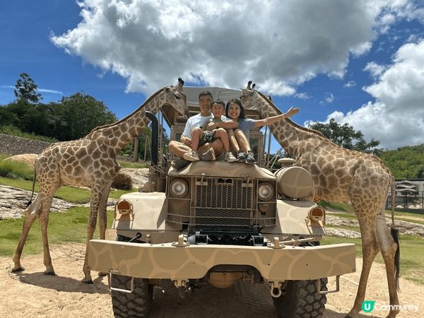 去左泰國，係華欣動物園同長頸鹿影相，去玩playhouse,...