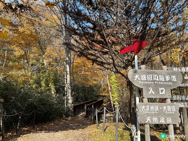 #北海道達人團 的登別秋日小旅行再次造訪「大湯沼川天然足湯｣...