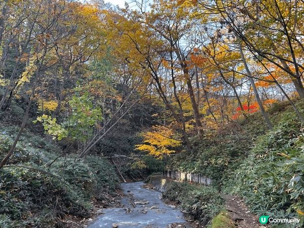 #北海道達人團 的登別秋日小旅行再次造訪「大湯沼川天然足湯｣...