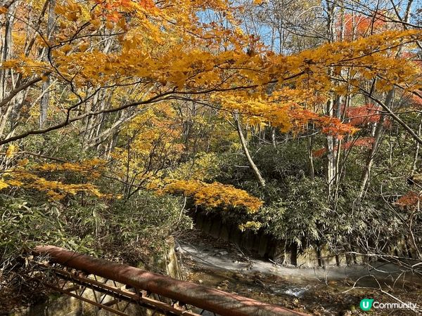 #北海道達人團 的登別秋日小旅行再次造訪「大湯沼川天然足湯｣...