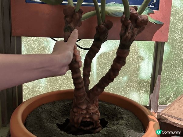 去了澳門Harry Potter展覽，如果曾經睇過Harry...