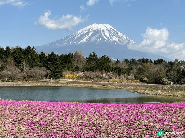 富士山好靚，天氣好好，草津溫泉好正，好值得介紹
