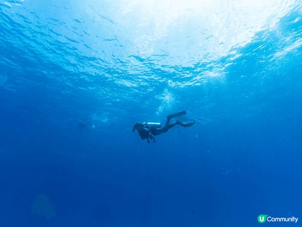 一班人一齊去潛水永遠都係最快樂既事，水底既安靜，水面既熱鬧，...