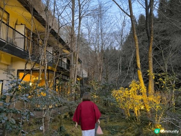 黑川溫泉街很好逛，黑川溫泉♨️湯明燈祭，沿河川掛滿縷空竹製燈...