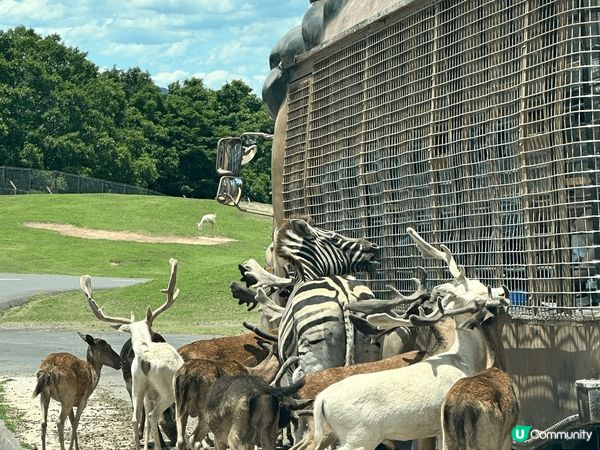 福岡吃喝玩樂之旅
